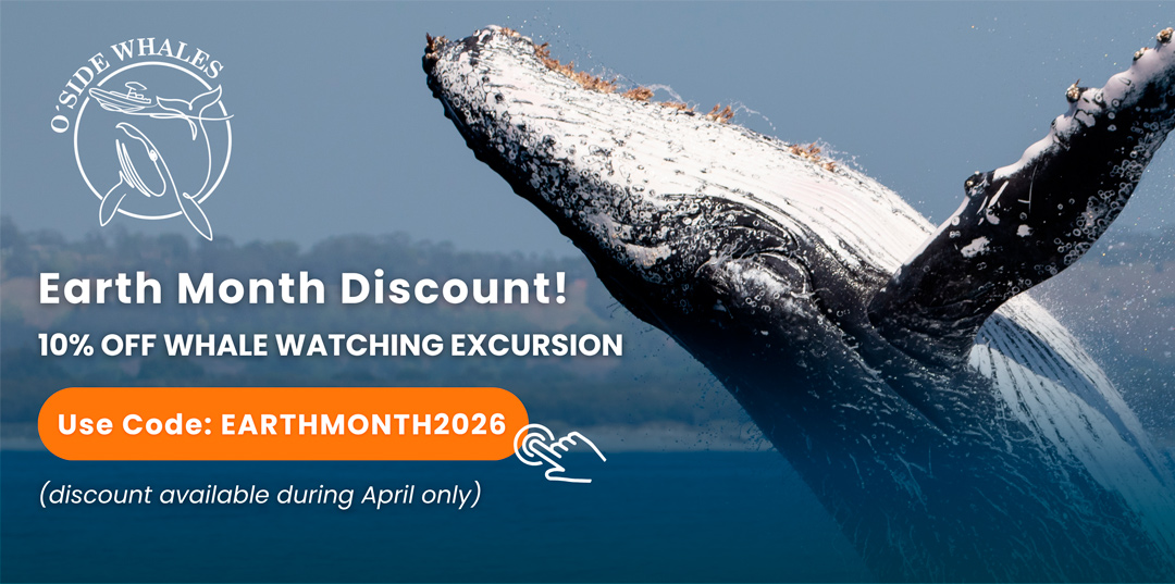 Earth Month Whale Watching Promotion